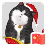 一枕清风890头像