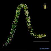 ArchiLantern的个人资料头像