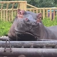 用户4288404318417头像