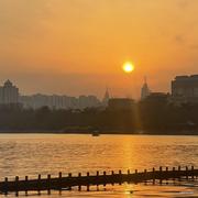 丿枫的个人资料头像