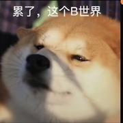 用户2187141197132的个人资料头像