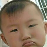 永红茶叶头像