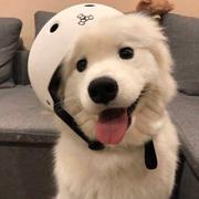 若尘775的个人资料头像