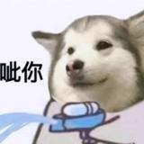 鼻毛分叉啦头像