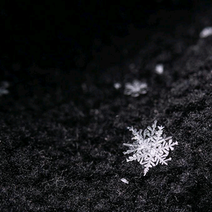 我在白城等烟雨头像