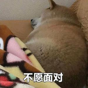 曾小贤头像