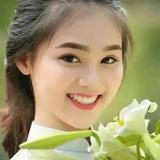 心理咨询师芳华头像