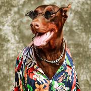 执着先生的个人资料头像