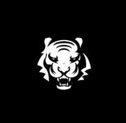 KingSheep的个人资料头像