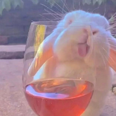 打怪兽的奥特曼喽头像