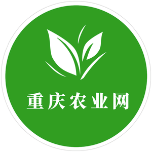 重庆农业网头像