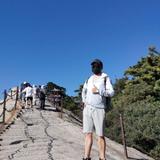 我曾跨过山和大海头像