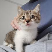 白马过平川吉吉的个人资料头像