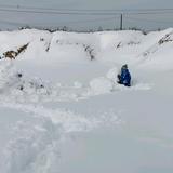 匆匆那年vlog头像