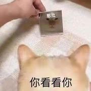 十一点半睡觉的个人资料头像