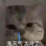 好好养胎头像