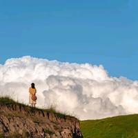 卖了瓜的花头像