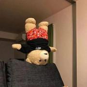 17_crush的个人资料头像