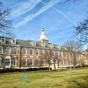 wicky的个人资料头像