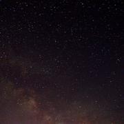 wedel的个人资料头像