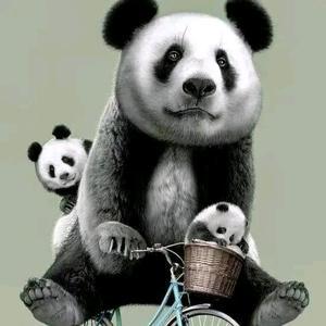 可乐熊猫人头像