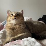 Duang408的个人资料头像