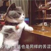 沙茶番茄火锅头像