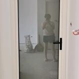 dy1cf5fbav3z3头像