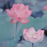 我就是这样1612头像