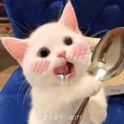 酒醒梦断的个人资料头像