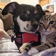 赵兆的个人资料头像