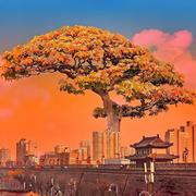 kevin522的个人资料头像