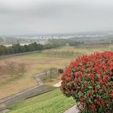 石榴聊语文头像