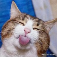 噯妳輩孓160984043头像