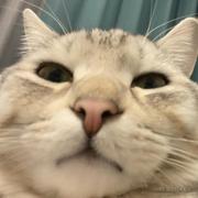 阿来来的个人资料头像