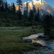 扑克和我的个人资料头像