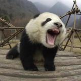 一生温暖纯良丶头像