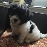 东暖向阳啊头像