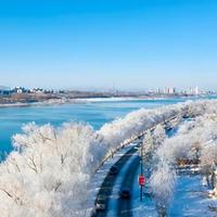 天山老妖不做妖头像