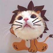 明寒的个人资料头像