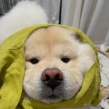 Suki108头像