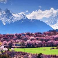 余yu童乐游艺头像