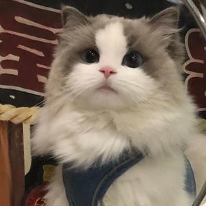 用户7152583228028头像