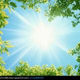 太阳158168头像