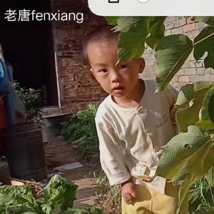 老唐fenxiang头像