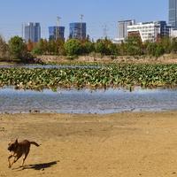 淡泊宁静1231头像