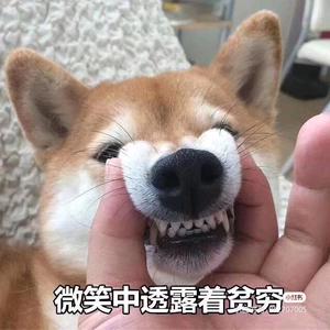 兮阳头像
