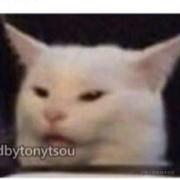 快说谢谢猫猫的个人资料头像
