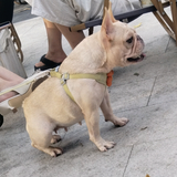 一丝不苟阿荣电影头像