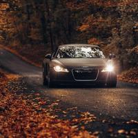 实在本尼8o1头像